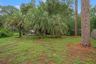 237 Monroe Ave, Brooksville, FL 34604 - Photo 18