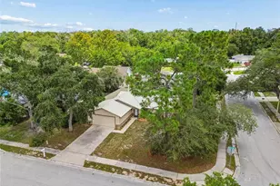 10305 Turkey Oak Dr, New Port Richey, FL 34654 - Photo 24