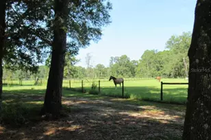 2484 Culbreath Rd, Brooksville, FL 34602 - Photo 68