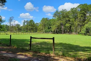 2484 Culbreath Rd, Brooksville, FL 34602 - Photo 70