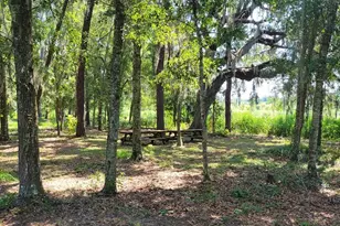 2484 Culbreath Rd, Brooksville, FL 34602 - Photo 62
