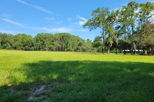 2484 Culbreath Rd, Brooksville, FL 34602 - Photo 64