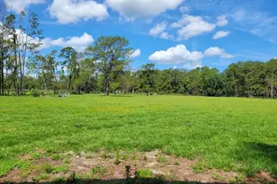 2484 Culbreath Rd, Brooksville, FL 34602 - Photo 64