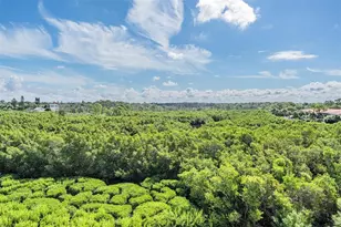244 Mariner Dr, Tarpon Springs, FL 34689 - Photo 20