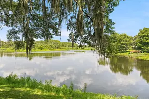 8515 E Gospel Island Rd, Inverness, FL 34450 - Photo 8