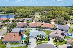 4105 Angel Wing Ct, Lutz, FL 33558 - Photo 74