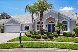 4105 Angel Wing Ct, Lutz, FL 33558 - Photo 76