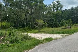 10616 Shady Dr, Hudson, FL 34669 - Photo 10