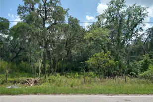 10616 Shady Dr, Hudson, FL 34669 - Photo 12