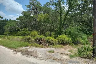 10616 Shady Dr, Hudson, FL 34669 - Photo 14