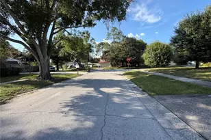 14705 Penguin Pl, Tampa, FL 33625 - Photo 14