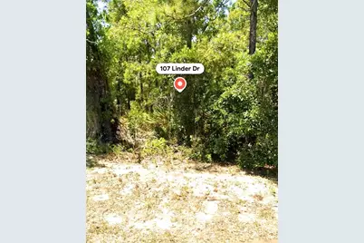 107 Linder Drive, Homosassa, FL 34446 - Photo 2
