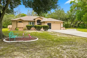 1087 Trinidad Ave, Spring Hill, FL 34609 - Photo 1