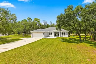 10345 Meadow Wren Ave, Weeki Wachee, FL 34613 - Photo 1
