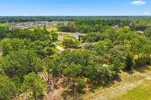 10345 Meadow Wren Ave, Weeki Wachee, FL 34613 - Photo 36