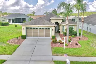1146 Dustan Pl, Trinity, FL 34655 - Photo 4