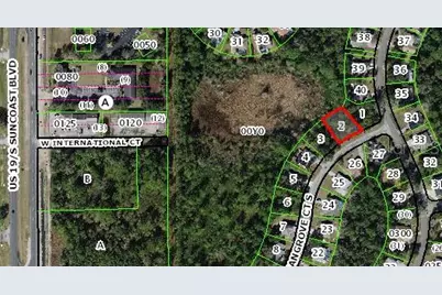 4 Mangrove Court S, Homosassa, FL 34446 - Photo 2