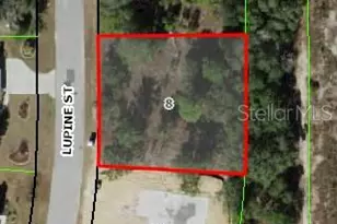 16 Lupine St, Homosassa, FL 34446 - Photo 1
