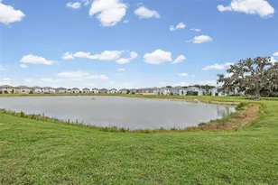 10914 Penny Gale Loop, San Antonio, FL 33576 - Photo 22