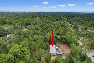 17721 Drayton St, Spring Hill, FL 34610 - Photo 48