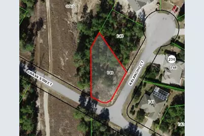 1 Kalanchoe Court, Homosassa, FL 34446 - Photo 2