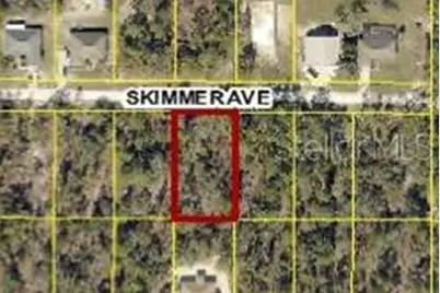 12092 Skimmer Avenue, Weeki Wachee, FL 34614 - Photo 1