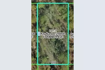 12092 Skimmer Avenue, Weeki Wachee, FL 34614 - Photo 2