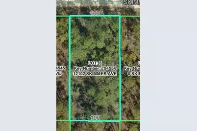 12102 Skimmer Avenue, Weeki Wachee, FL 34614 - Photo 2
