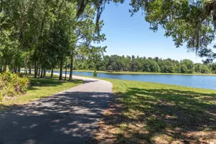 13709 Stansil Ave, Odessa, FL 33556 - Photo 52