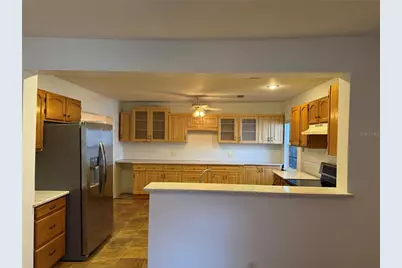 53 W Park Street, Tarpon Springs, FL 34689 - Photo 6