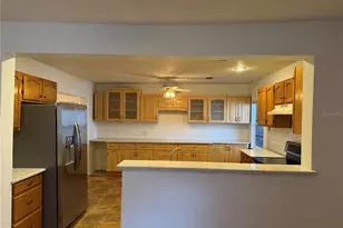 53 W Park St, Tarpon Springs, FL 34689 - Photo 6