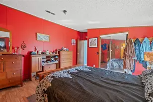 8512 Hamster Dr, Zephyrhills, FL 33540 - Photo 26