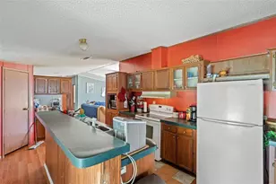 8512 Hamster Dr, Zephyrhills, FL 33540 - Photo 18
