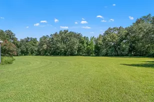 8512 Hamster Dr, Zephyrhills, FL 33540 - Photo 44