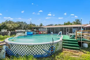 8512 Hamster Dr, Zephyrhills, FL 33540 - Photo 40