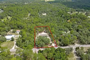 5611 W Rochelle St, Homosassa, FL 34446 - Photo 56