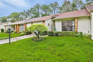 6591 Brambleleaf Dr, Spring Hill, FL 34606 - Photo 4