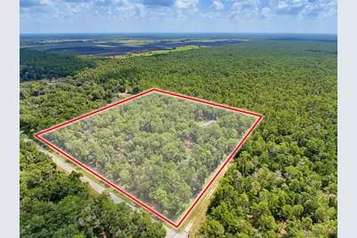 26311 Willow Street, Brooksville, FL 34601 - Photo 4