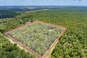 26311 Willow St, Brooksville, FL 34601 - Photo 4