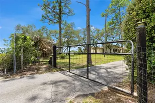 13260 Taylor St, Brooksville, FL 34613 - Photo 44
