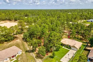 12229 Barnevelde Rd, Weeki Wachee, FL 34614 - Photo 42