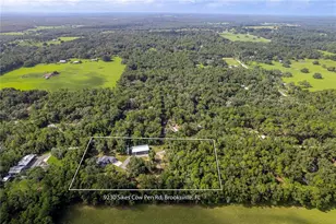9230 Sikes Cow Pen Rd, Brooksville, FL 34601 - Photo 30