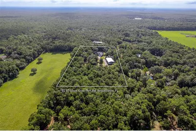 9230 Sikes Cow Pen Road, Brooksville, FL 34601 - Photo 14