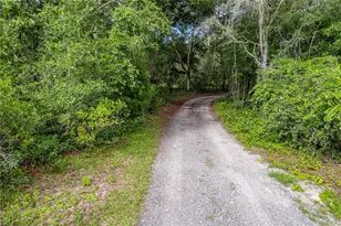 9230 Sikes Cow Pen Rd, Brooksville, FL 34601 - Photo 78