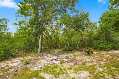 6454 Freeport Drive, Spring Hill, FL 34608 - Photo 34
