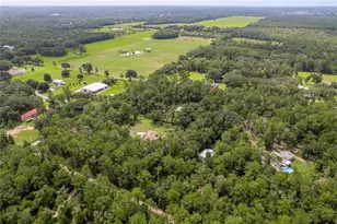 3063 Crum Rd, Brooksville, FL 34604 - Photo 56
