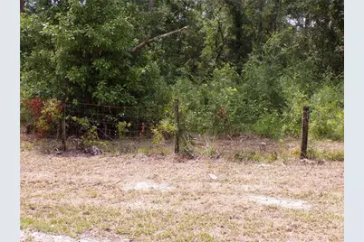 30 NE 478th Avenue, Old Town, FL 32680 - Photo 22