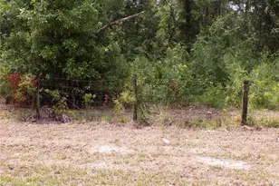 30 NE 478th Ave, Old Town, FL 32680 - Photo 22