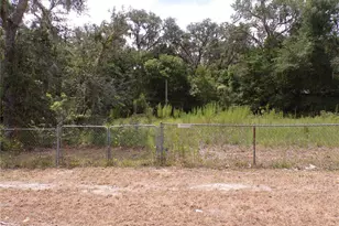 30 NE 478th Ave, Old Town, FL 32680 - Photo 24
