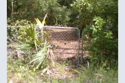 30 NE 478th Avenue, Old Town, FL 32680 - Photo 26